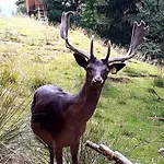 Skiandsplash Appartement ראדנטיין