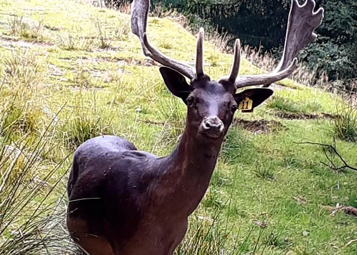 Skiandsplash Appartement Radenthein